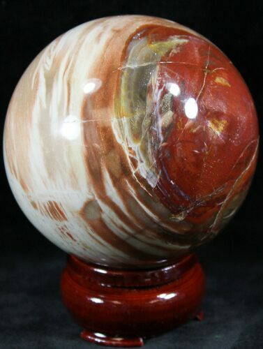 Colorful Petrified Wood Sphere #26633